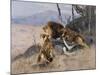 Lion and Lioness; Lowe Und Lowin-Wilhelm Kuhnert-Mounted Giclee Print