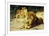 Lion and Lioness-Lowenparr-Wilhelm Kuhnert-Framed Giclee Print