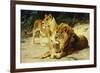 Lion and Lioness-Lowenparr-Wilhelm Kuhnert-Framed Giclee Print