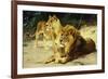 Lion and Lioness-Lowenparr-Wilhelm Kuhnert-Framed Giclee Print