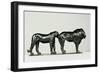 Lion and Lioness-Rembrandt Bugatti-Framed Giclee Print