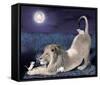 Lion And Mice-Nancy Tillman-Framed Stretched Canvas