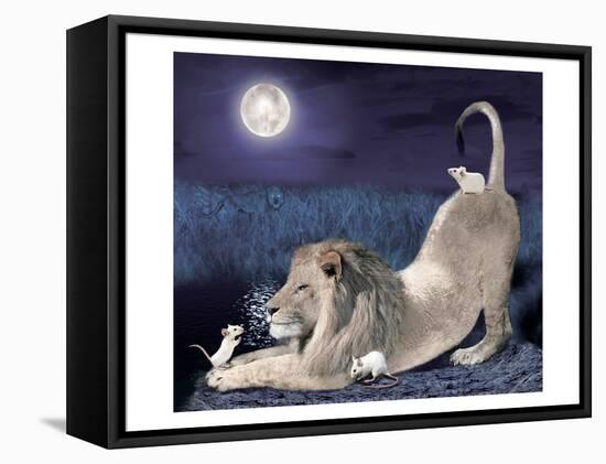 Lion And Mice-Nancy Tillman-Framed Stretched Canvas