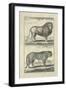 Lion and Tiger-Denis Diderot-Framed Art Print