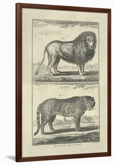 Lion and Tiger-Denis Diderot-Framed Art Print