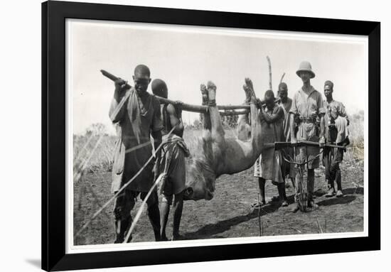 Lion at Bahr El Ghazal, Am Dafok, 1925-Georges-Marie Haardt-Framed Giclee Print