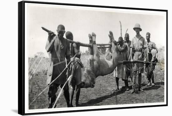 Lion at Bahr El Ghazal, Am Dafok, 1925-Georges-Marie Haardt-Framed Stretched Canvas