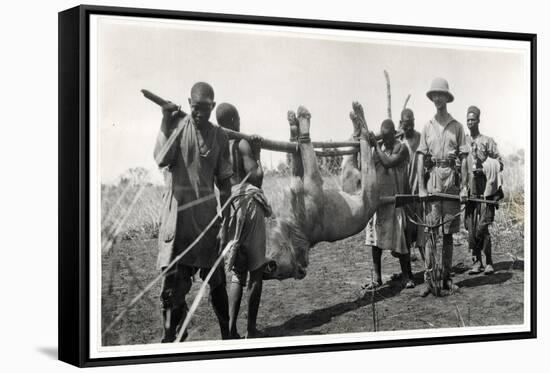 Lion at Bahr El Ghazal, Am Dafok, 1925-Georges-Marie Haardt-Framed Stretched Canvas