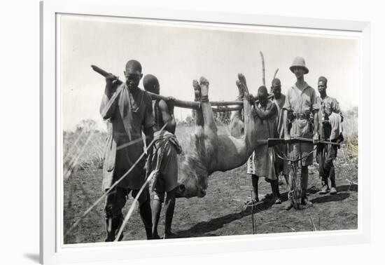 Lion at Bahr El Ghazal, Am Dafok, 1925-Georges-Marie Haardt-Framed Giclee Print