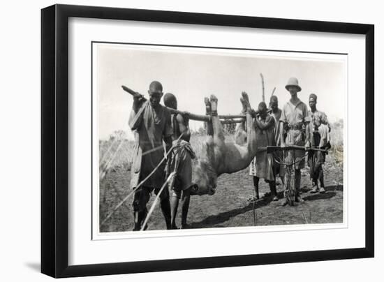 Lion at Bahr El Ghazal, Am Dafok, 1925-Georges-Marie Haardt-Framed Giclee Print