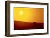 Lion at Sunset-DLILLC-Framed Photographic Print