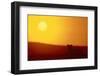 Lion at Sunset-DLILLC-Framed Photographic Print