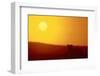 Lion at Sunset-DLILLC-Framed Photographic Print