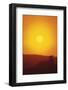 Lion at Sunset-DLILLC-Framed Photographic Print