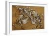 Lion Attacking a Horse, 1917-1918-Georgi Bogdanovich Yakulov-Framed Giclee Print