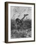 Lion Attacks Giraffe-Richard Friese-Framed Art Print