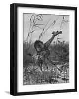 Lion Attacks Giraffe-Richard Friese-Framed Art Print