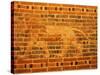 Lion, Babylon, Iraq, Middle East-Nico Tondini-Stretched Canvas