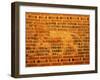 Lion, Babylon, Iraq, Middle East-Nico Tondini-Framed Photographic Print