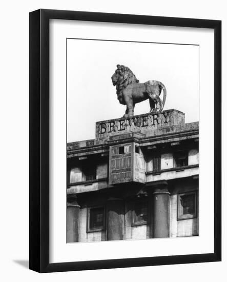 Lion Brewery Sign-null-Framed Photographic Print