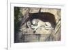 Lion Carved Out of Rock Face-null-Framed Premium Giclee Print