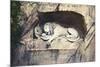 Lion Carved Out of Rock Face-null-Mounted Premium Giclee Print