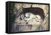 Lion Carved Out of Rock Face-null-Framed Stretched Canvas