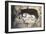 Lion Carved Out of Rock Face-null-Framed Art Print