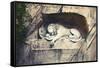 Lion Carved Out of Rock Face-null-Framed Stretched Canvas