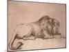 Lion couché rongeant un os-Rembrandt van Rijn-Mounted Giclee Print