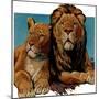 "Lion Couple,"March 19, 1932-Lynn Bogue Hunt-Mounted Giclee Print