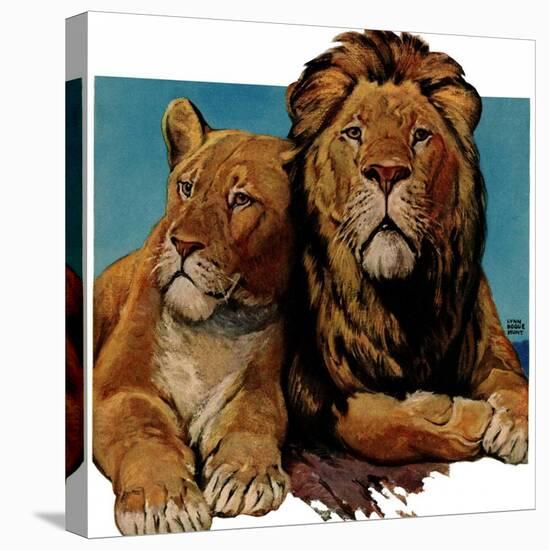 "Lion Couple,"March 19, 1932-Lynn Bogue Hunt-Stretched Canvas
