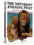 "Lion Couple," Saturday Evening Post Cover, March 19, 1932-Lynn Bogue Hunt-Stretched Canvas