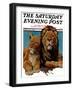 "Lion Couple," Saturday Evening Post Cover, March 19, 1932-Lynn Bogue Hunt-Framed Giclee Print