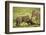 Lion Cub and Wildebeest Calf-null-Framed Photographic Print