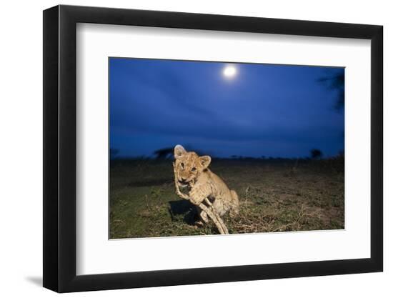 Photographic Print, , large