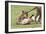 Lion Cub Bites the Tail of Lioness, Ngorongoro, Tanzania-James Heupel-Framed Photographic Print