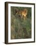 Lion Cub in Grass, Masai Mara, Kenya, East Africa, Africa-Murray Louise-Framed Photographic Print