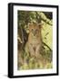 Lion Cub in the Bush, Maasai Mara Wildlife Reserve, Kenya-Jagdeep Rajput-Framed Photographic Print