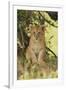 Lion Cub in the Bush, Maasai Mara Wildlife Reserve, Kenya-Jagdeep Rajput-Framed Photographic Print