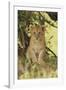 Lion Cub in the Bush, Maasai Mara Wildlife Reserve, Kenya-Jagdeep Rajput-Framed Photographic Print