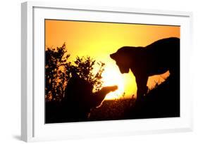 Lion Cub Morning-Susann Parker-Framed Photographic Print