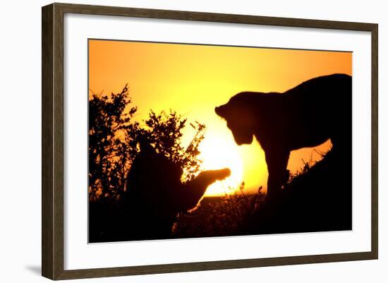 Lion Cub Morning-Susann Parker-Framed Photographic Print