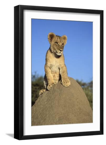 Premium Photographic Print, , large