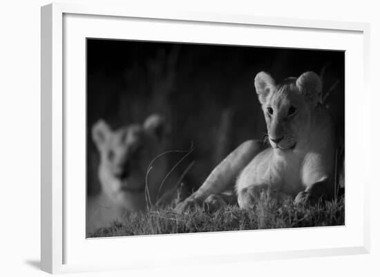 Lion Cub (Panthera Leo) and Lioness at Night in Masai Mara, in Infra-Red, Marsh Pride, Kenya-null-Framed Photographic Print
