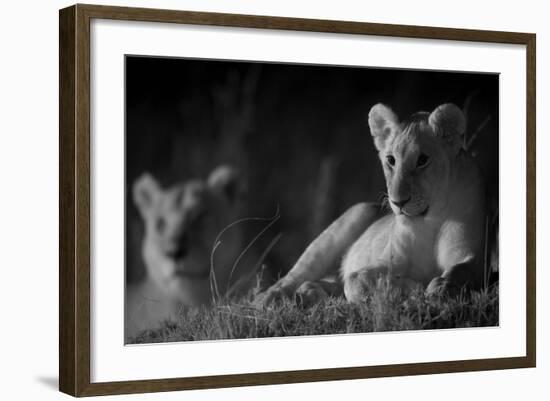 Lion Cub (Panthera Leo) and Lioness at Night in Masai Mara, in Infra-Red, Marsh Pride, Kenya-null-Framed Photographic Print