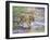 Lion Cub Walking in the Bush, Maasai Mara, Kenya-Joe Restuccia III-Framed Photographic Print