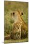 Lion Cub with Mother-null-Mounted Photographic Print