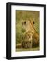 Lion Cub with Mother-null-Framed Photographic Print