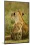 Lion Cub with Mother-null-Mounted Photographic Print